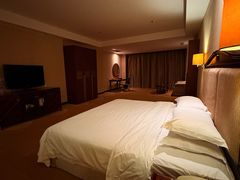 -沈阳于洪碧桂园凤凰酒店