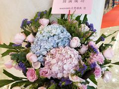 -珠海横琴长隆《卡卡虎奇遇记》