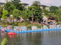 -枫香湖儿童公园