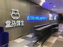 -盒马鲜生(财富中心店)