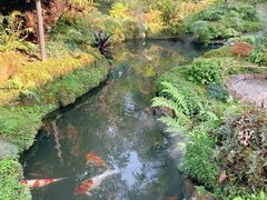 -Chom Cafe and Restaurant