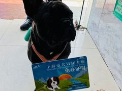 -畜牧兽医站(共江路店)