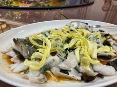 清蒸桂花鱼-小榄人家酒楼(民安店)