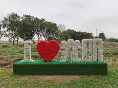 -光明小镇欢乐田园