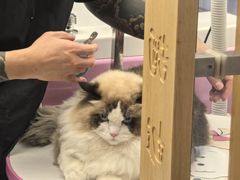 -FAELING PETS美天灵宠物(富力广场店)