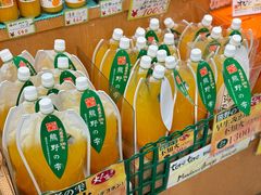 -南纪白浜Toretore市场