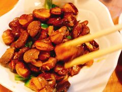 -龙小海荆沙鸽子店(瑞安街店)