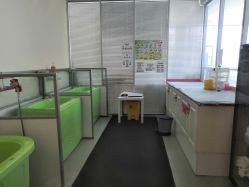 -弗蕾亚·和月月子调理院(东湖店)