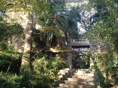 -平湖九龙山旅游度假区