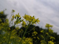 -长春公园(普阳街道)