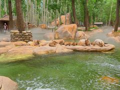 -北京野生动物园