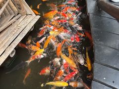 -上海大自然野生昆虫馆(东方明珠·爬宠昆虫探索中心)