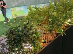 -码头见·潮汕菜(领展中心城店)