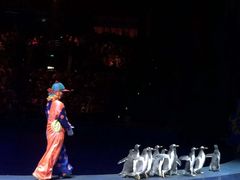 -珠海横琴长隆《卡卡虎奇遇记》