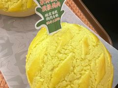 -羽鸽集·乳鸽专门店·地道顺德菜(岭南站店)