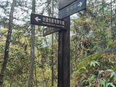 -武夷山风景名胜区-虎啸岩