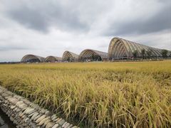 -中国天府农业博览园