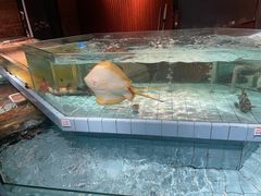 -荣小馆(杭州大厦店)