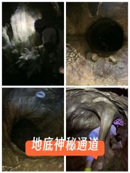 -探洞工场(丰科万达旗舰店)