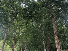 -青年湖公园水上世界