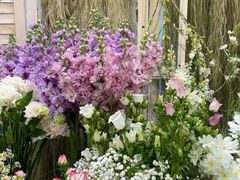 -Lamant Manor已闻花名关於蓝