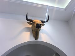 -黄牛肉馆·皖南土菜