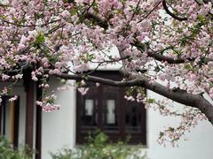 -太平天国历史博物馆(瞻园)