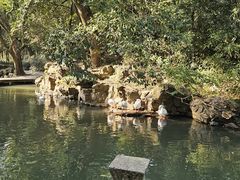 -兰亭风景区