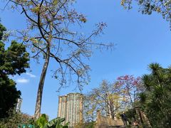 -晓港公园