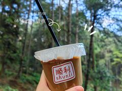 -重庆睡佛山森林公园