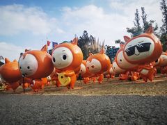 -上海长兴岛郊野公园