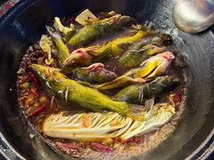 -刘淑芬·活鱼铁锅炖(北京首店)