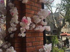 -星巴克臻选(思南公馆店)