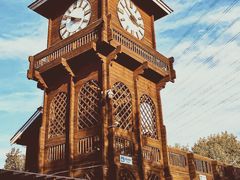 -永定河休闲森林公园