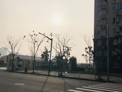 -御池园(顾村公园店)