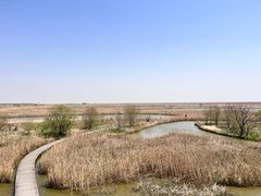 -盐城丹顶鹤湿地生态旅游区