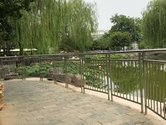 -黄村公园