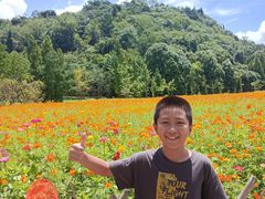 -贵阳市花溪国家城市湿地公园