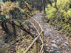 -北京上方山国家森林公园