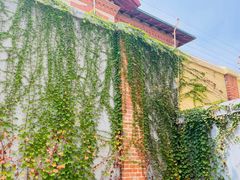 -青岛德国监狱旧址博物馆