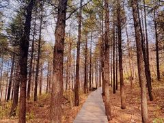 -白草畔自然风景区