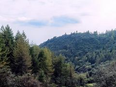 -武陵山森林公园