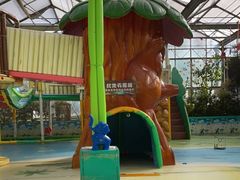 -南宫五洲植物乐园