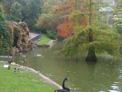 景点-丽池公园