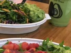-油梨树 AVOCADO TREE(亮马桥店)