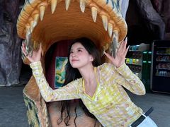 -南京银杏湖乐园