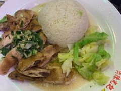 姜葱鼓油鸡饭-澳门陈光记烧味饭店(郎家园店)
