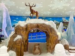 -湘江欢乐城欢乐雪域