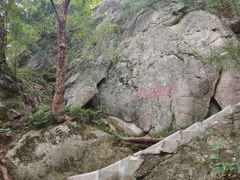 -王顺山国家森林公园