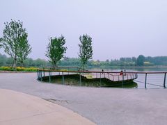 -东郊湿地公园